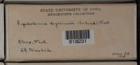 Image Associated With the Occurence